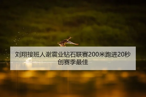 liu-xiang-jie-ban-ren-xie-zhen-ye-zuan-shi-lian-sai-mi-pao-jin-miao-chuang-sai-ji-zui-jia-2-945.jpg