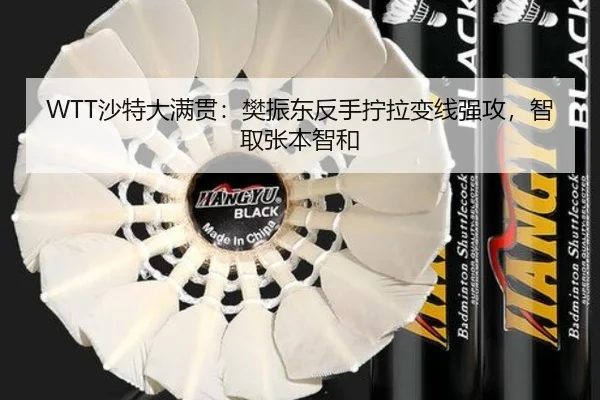 sha-te-da-man-guan-fan-zhen-dong-fan-shou-ning-la-bian-xian-qiang-gong-zhi-qu-zhang-ben-zhi-he-3-670.jpg