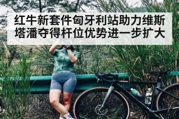 红牛新套件匈牙利站助力维斯塔潘夺得杆位优势进一步扩大