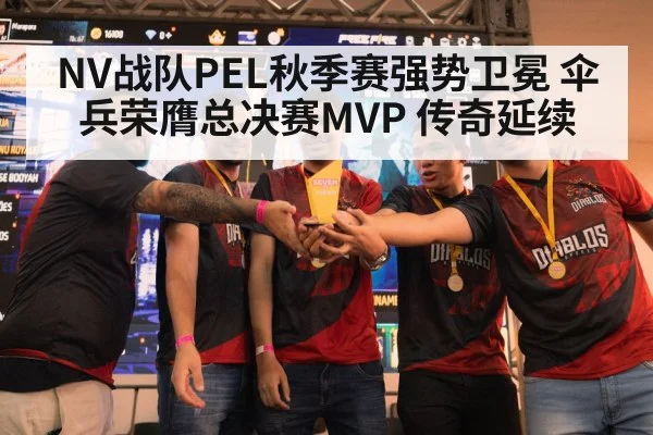 NV战队PEL秋季赛强势卫冕 伞兵荣膺总决赛MVP 传奇延续