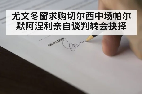 尤文冬窗求购切尔西中场帕尔默阿涅利亲自谈判转会抉择