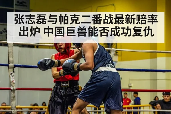 张志磊与帕克二番战最新赔率出炉 中国巨兽能否成功复仇