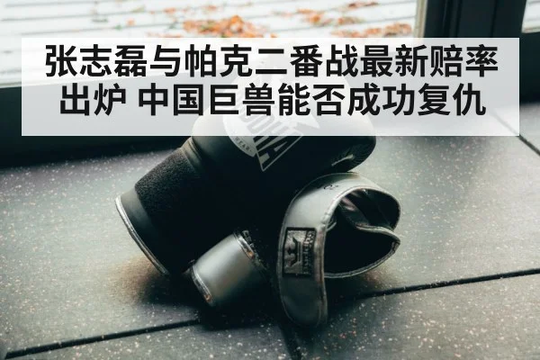 boxing gloves close up