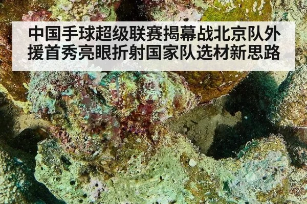 中国手球超级联赛揭幕战北京队外援首秀亮眼折射国家队选材新思路